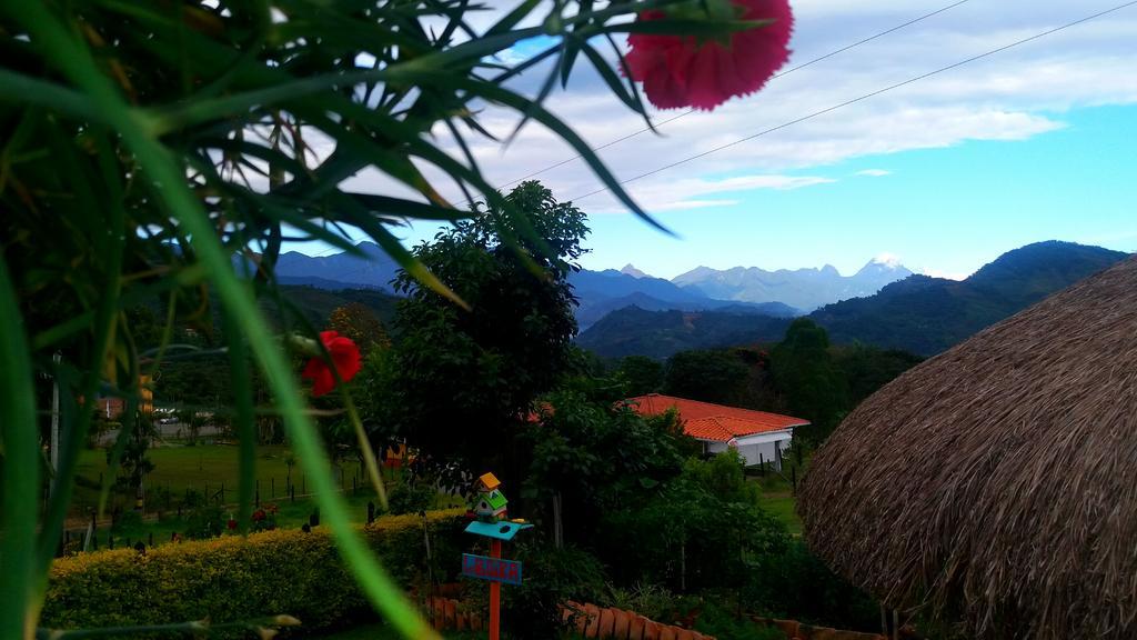 Coliving La Boira Bed & Breakfast Jardin Luaran gambar