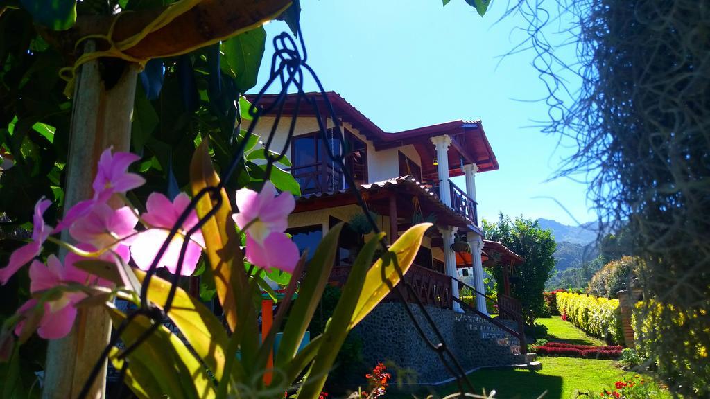 Coliving La Boira Bed & Breakfast Jardin Luaran gambar