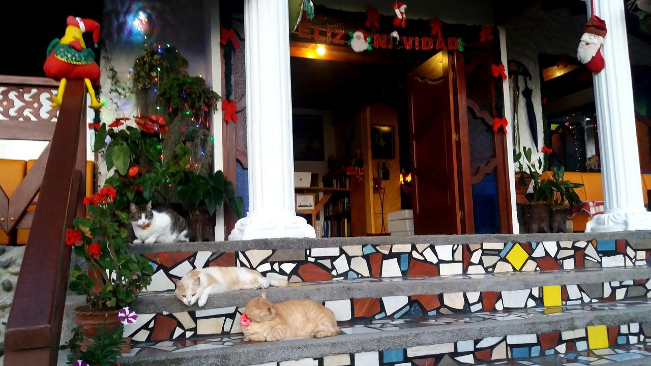 Coliving La Boira Bed & Breakfast Jardin Luaran gambar