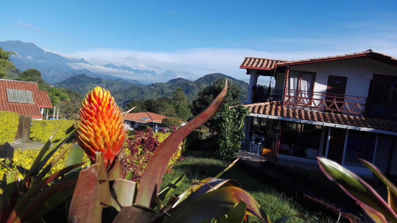 Coliving La Boira Bed & Breakfast Jardin Luaran gambar