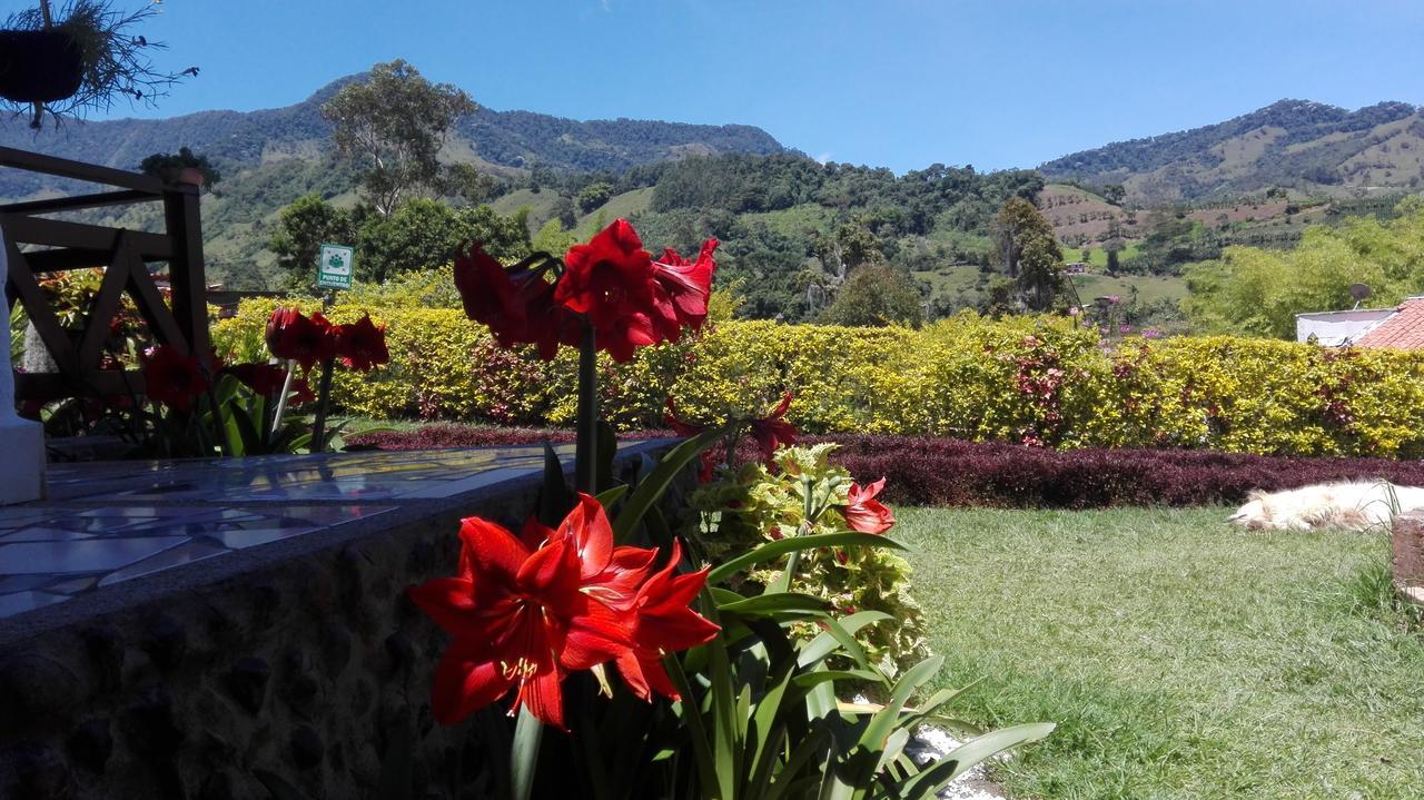 Coliving La Boira Bed & Breakfast Jardin Luaran gambar